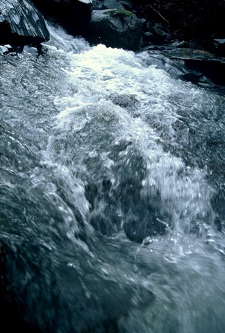 [DH000003[4].jpg]
