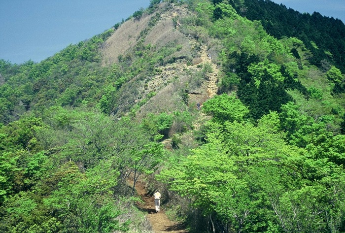 DH000043