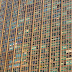 Dsc03555