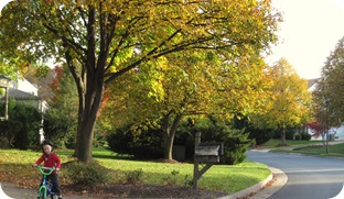 fall days 043