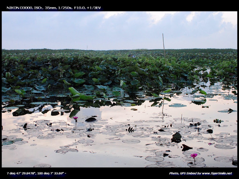รูปภาพ