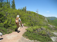 IMG_2556.JPG Photo