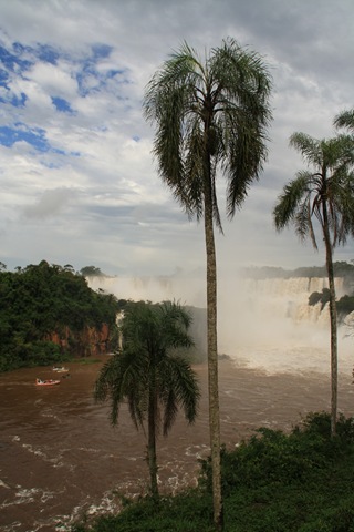[Iguazu 413[4].jpg]