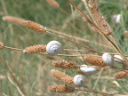 Around The World Slideshow