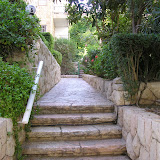 Apartment for Sale in Talbiya - Jerusalem