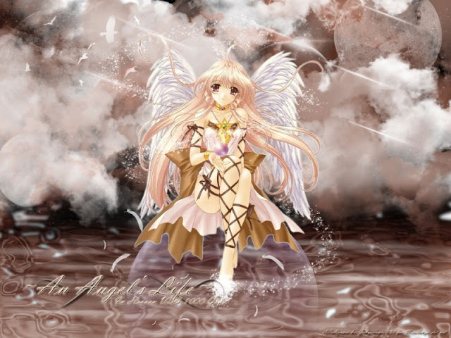 463442-20061021145619