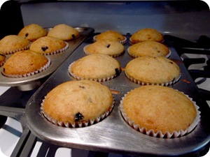 bluemuffins