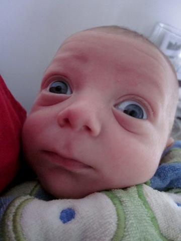 [Qface[3].jpg]