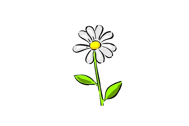 [daisy75.jpg]