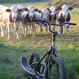vélo stepper