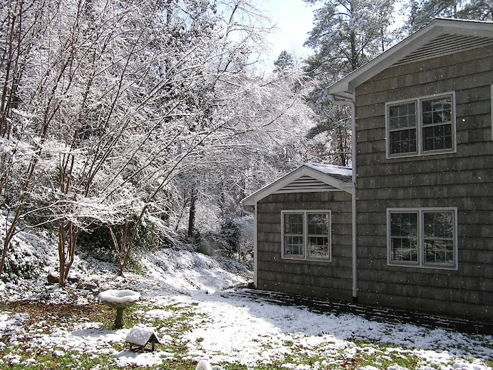 Home - Winter 2008