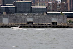 IMG_1638.JPG
