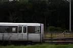 IMG_2224.JPG