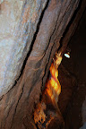 IMG_2253.JPG