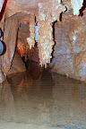 IMG_2309.JPG
