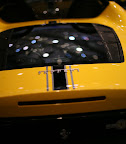 IMG_5625.JPG