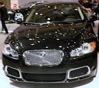 IMG_5664.JPG