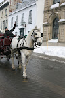 IMG_5101.JPG
