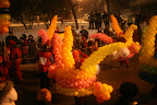IMG_5324.JPG