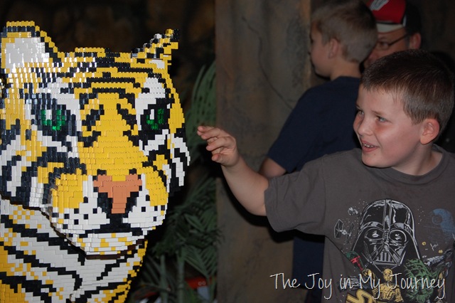 [DSC_0031[13].jpg]