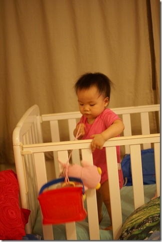 DSC02895 DSC02895