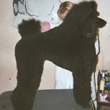 Yepa_puppy trim.jpg