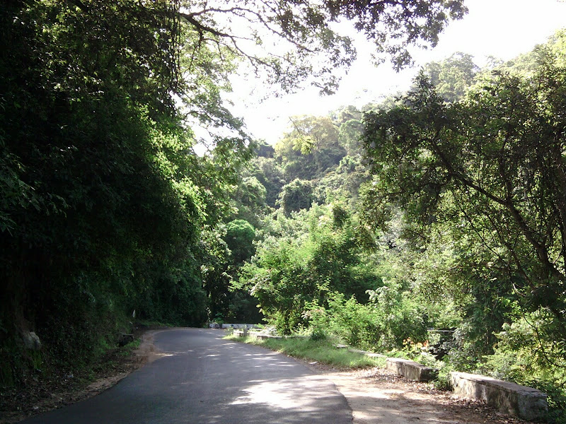 மலைப்பாதை மலைப்பாதை