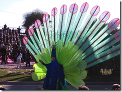 IMG_1028 IMG_1028