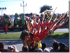 IMG_1022 IMG_1022
