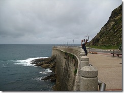 IMG_4689 IMG_4689