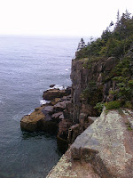 CIMG2409.jpg Photo