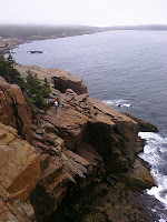 CIMG2425.jpg Photo