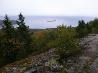 CIMG2433.jpg Photo