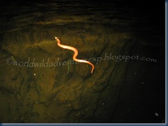 IMG_2797 IMG_2797