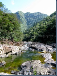 IMG_2887 IMG_2887