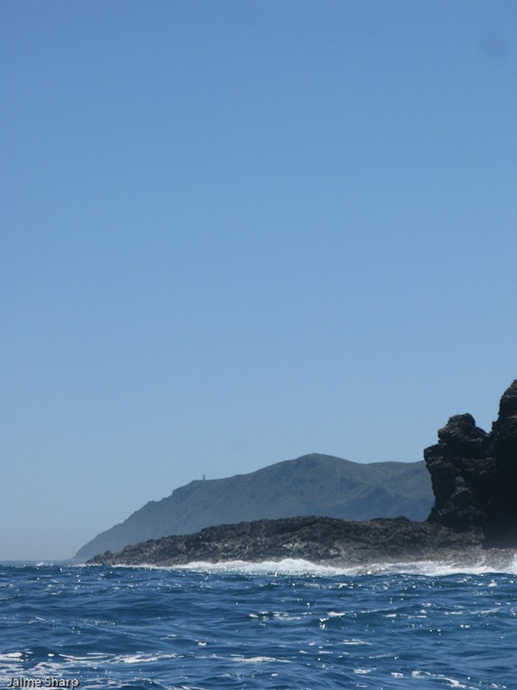 [IMG_09583.jpg]