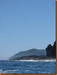 IMG_0958 IMG_0958