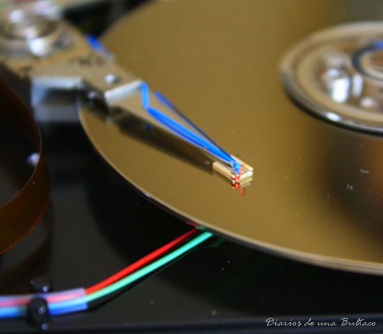 [_MG_6280_1024x682[13].jpg]