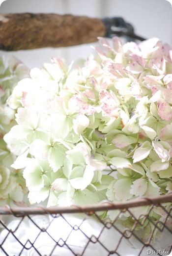 Test 335 Test 335