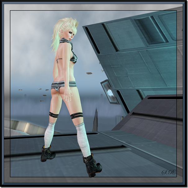 Linc20_001a Linc20_001a