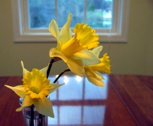 [daffodils_inside[2].jpg]