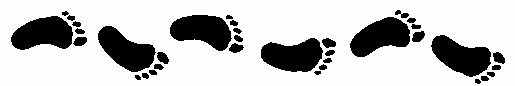[footprints[1][4].gif]