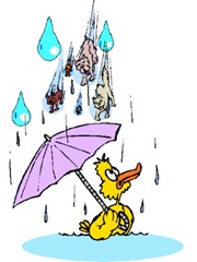 raining with cats and duck