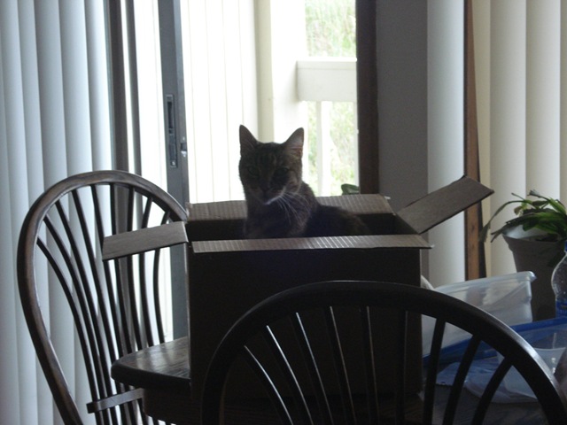 [DSC033324.jpg]