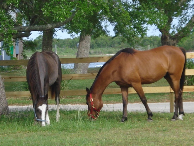 [DSC029712.jpg]