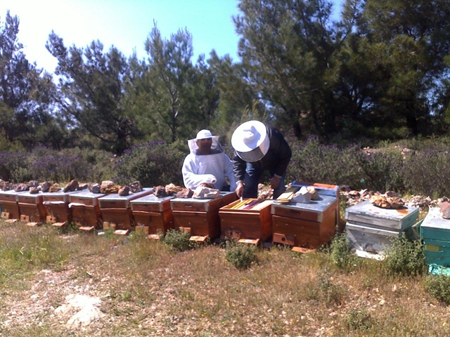 [beekeepers in the woods[4].jpg]