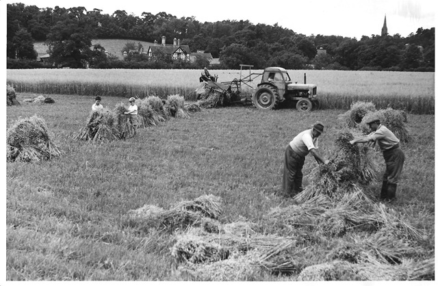 [History Group Images. CD4 008[3].jpg]