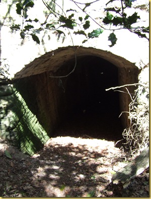 DSCF6184