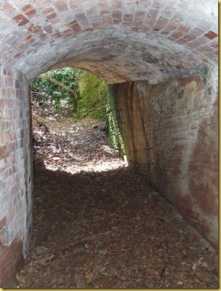 DSCF6198
