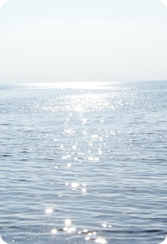 Billede 055